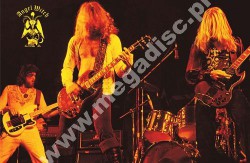 PLAKAT ANGEL WITCH - Live 1979 (50cm x 75cm)