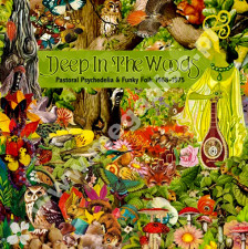 VARIOUS ARTISTS - Deep In The Woods - Pastoral Psychedelia & Funky Folk 1968-1975 (3CD) - UK Strawberry Edition - POSŁUCHAJ