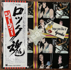 GEORDIE - Hope You Like It - JAPAN EMI/Odeon 1973 1st Press (+OBI + BOOKLET) - NEAR MINT VINTAGE VINYL