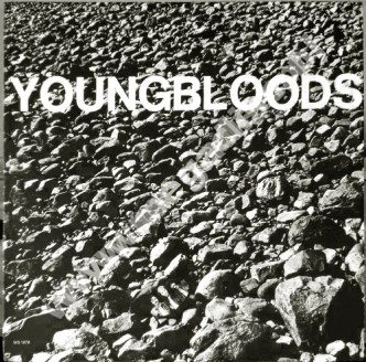 YOUNGBLOODS - Rock Festival - Live 1970 - US Warner Bros. ('green') 1970 1st Press - NEAR MINT VINTAGE VINYL