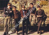 PLAKAT THE ANIMALS - 1966 Promo (50cm x 70cm)