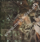 STEVE YORK'S CAMELO PARDALIS - Manor Live - UK 1st Press