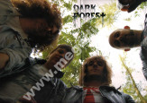 DARK FOREST - Dark Forest - GER Eyes Like Snow GREEN VINYL Limited 180g Press - POSŁUCHAJ - OSTATNIA SZTUKA