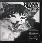PUSSY - Pussy Plays - UK Morgan Blue Town PINK VINYL Limited 180g Press - POSŁUCHAJ