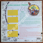 VARIOUS ARTISTS - A Psychedelic Psauna (In Four Parts) (2LP) - UK 1st Press