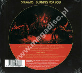 STRAWBS - Burning For You +4 - UK Esoteric Remastered Expanded Edition - POSŁUCHAJ