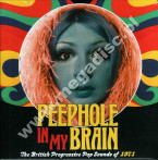 VARIOUS ARTISTS - Peephole In My Brain - British Progressive Pop Sounds Of 1971 (3CD) - UK Grapefruit - POSŁUCHAJ