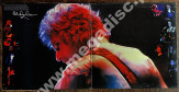 BOB DYLAN - Bob Dylan At Budokan (2LP) - NL CBS 1978 1st Press (+BOOKLET) - EXCELLENT PLUS VINTAGE VINYL