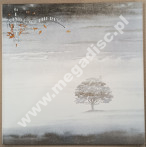 GENESIS - Wind & Wuthering - US ATCO ('yellow') 1976 1st Press - NEAR MINT VINTAGE VINYL