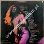TED NUGENT - Double Live Gonzo! (2LP) - NL Epic ('orange') 1978 1st Press - NEAR MINT VINTAGE VINYL
